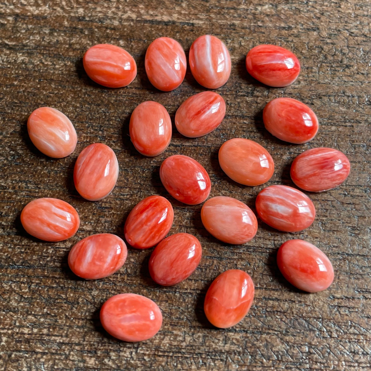 Red Oyster Shell 6x8 mm