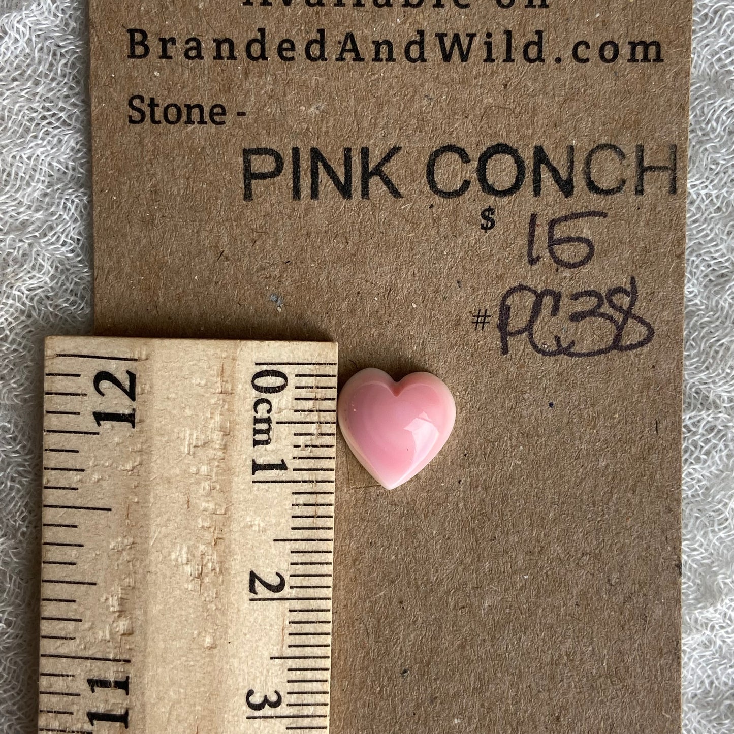 Pink Conch Cabochon - PC38