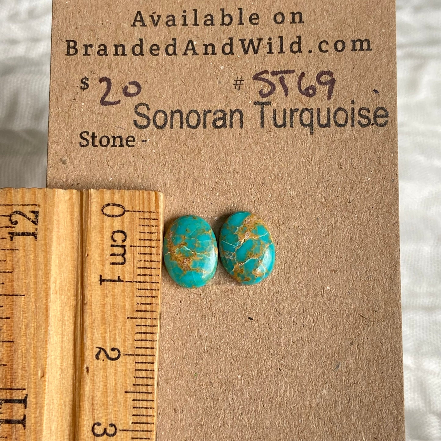 Sonoran Turquoise Cabochon - ST69 168A5CA3-3966-4E61-AEC5-64BD6543208A Brandedandwild.com