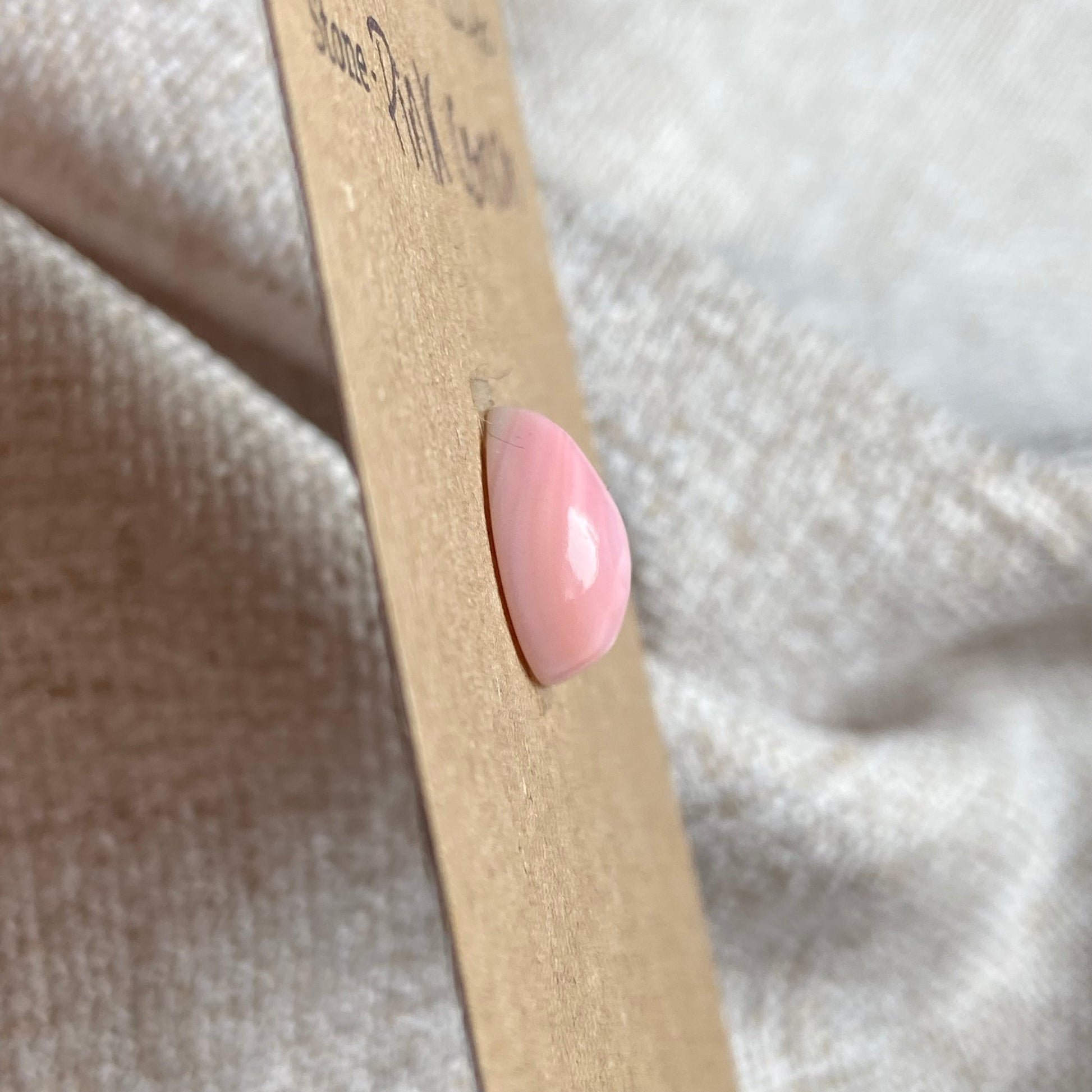 Pink Conch Cabochon - PC09 169548BD-8E81-47FF-8801-D0FB74B1F700 Brandedandwild.com