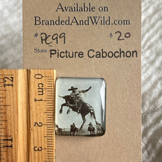 Picture Cabochon - Cabochon - PC99 16BB7F02-E2CD-4077-B34D-D08224020252 Brandedandwild.com