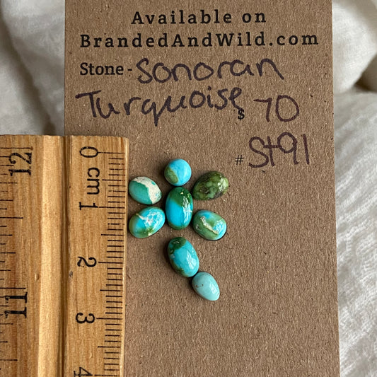 Sonoran Turquoise Cabochon - ST91