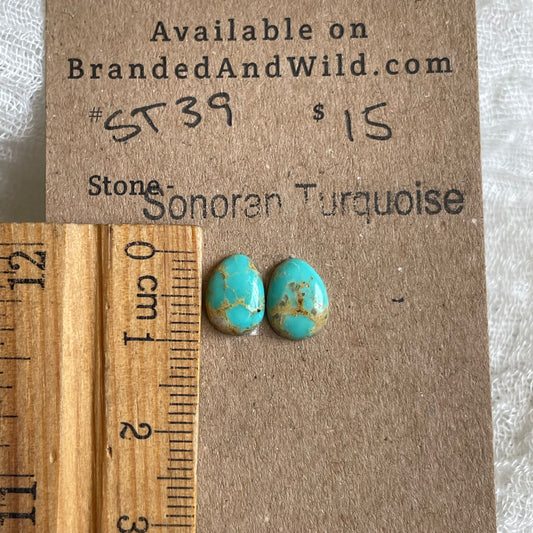 Sonoran Turquoise Cabochon - ST39 16CC639C-AD86-48E9-B1B9-F7A993F4EF90 Brandedandwild.com