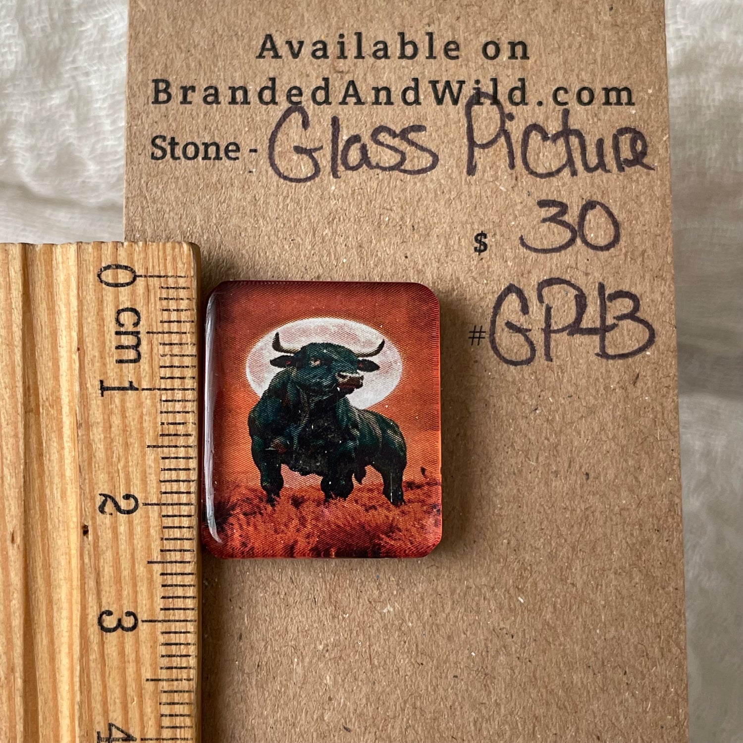 Glass Picture - Cabochon - GP43 16EC8A73-E508-4D97-AC23-2424E53AAAFC Brandedandwild.com