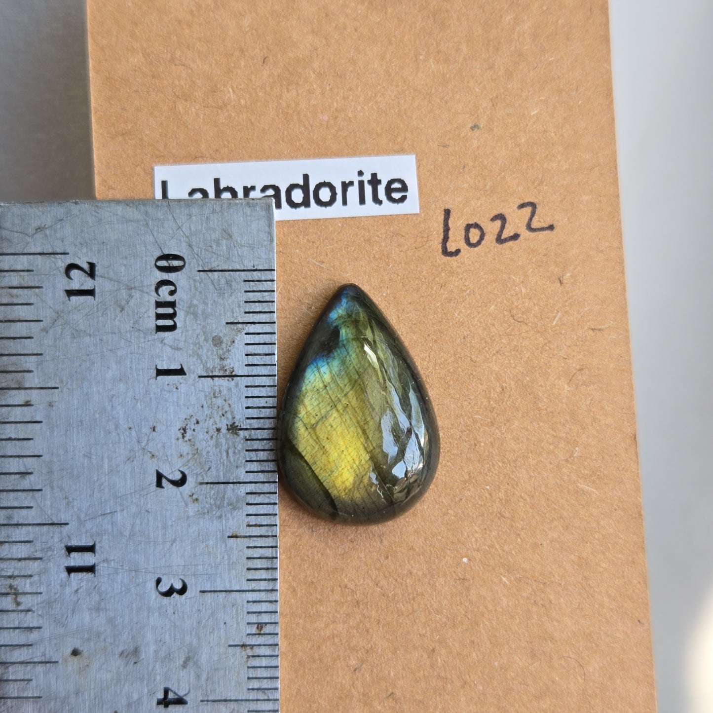 Labradorite Cabochon - L022