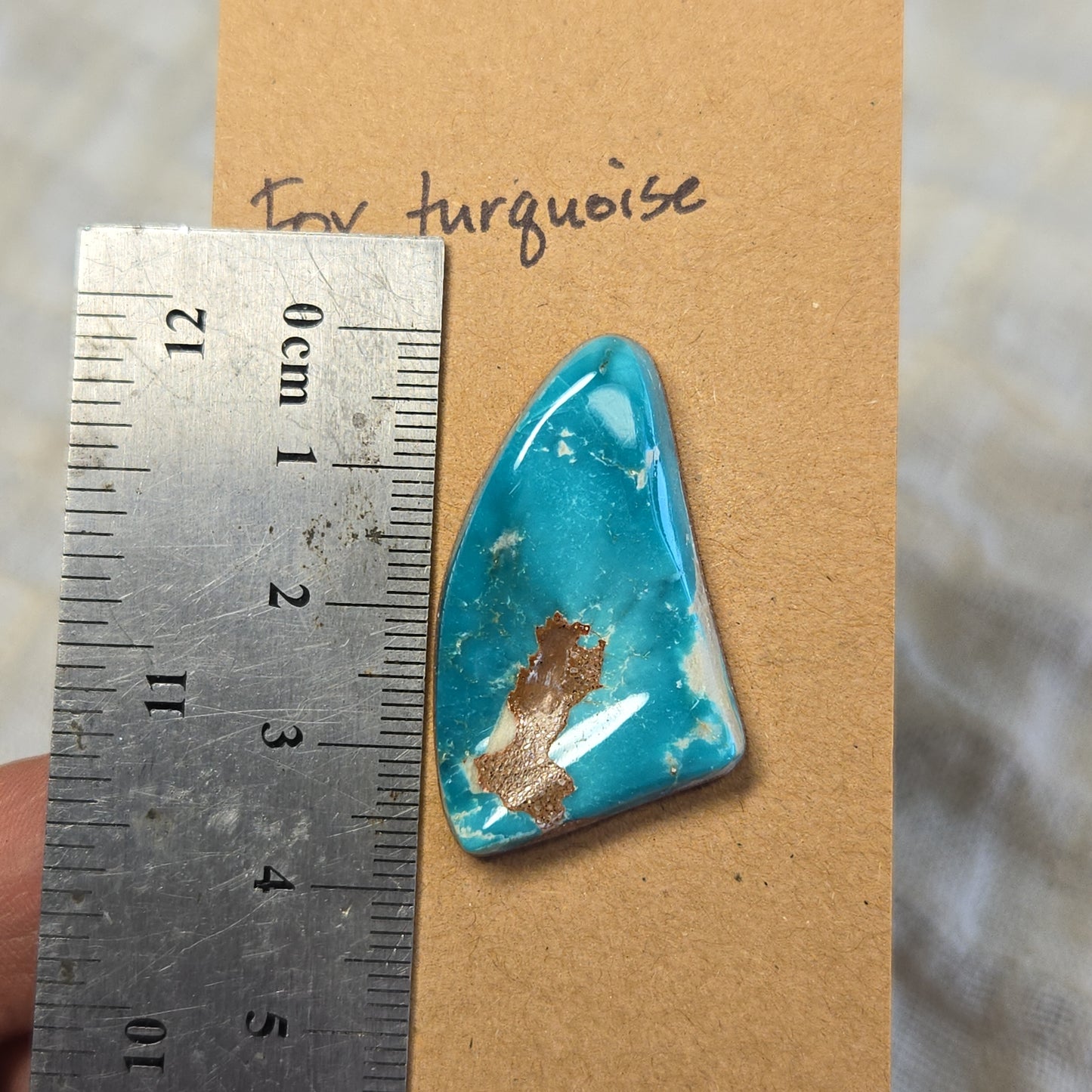 Fox Turquoise Cabochon - FT19