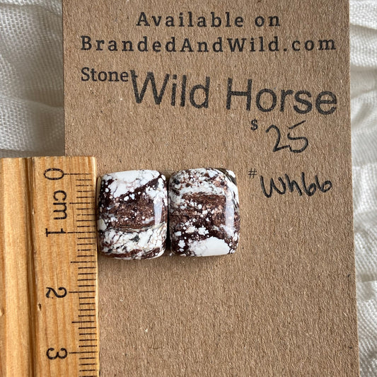 Wild Horse Cabochon - WH66 1754EFED-487E-4C69-8A64-8ED1D58FE7E3 Brandedandwild.com
