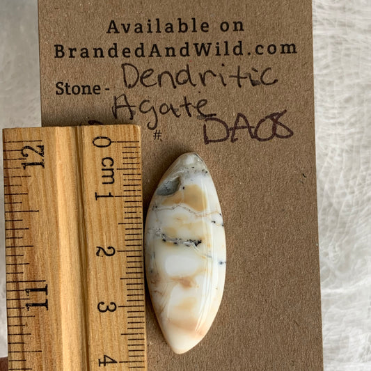 Dendritic Agate Cabochon - DA08