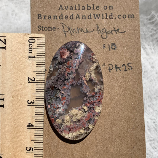 Plume Agate Cabochon - PA25