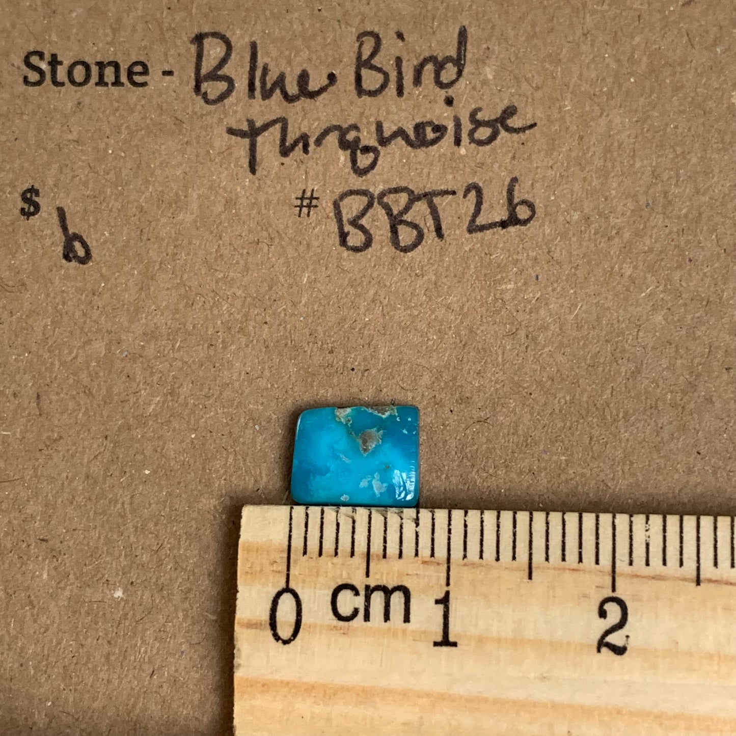 Blue Bird Turquoise Cabochon - BBT18