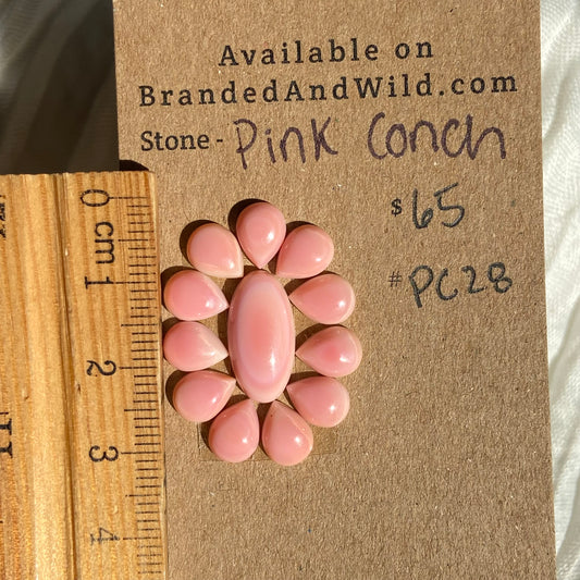 Pink Conch Cabochon - PC28 17F2AF83-8295-4B89-8B89-CA9DC4101580 Brandedandwild.com