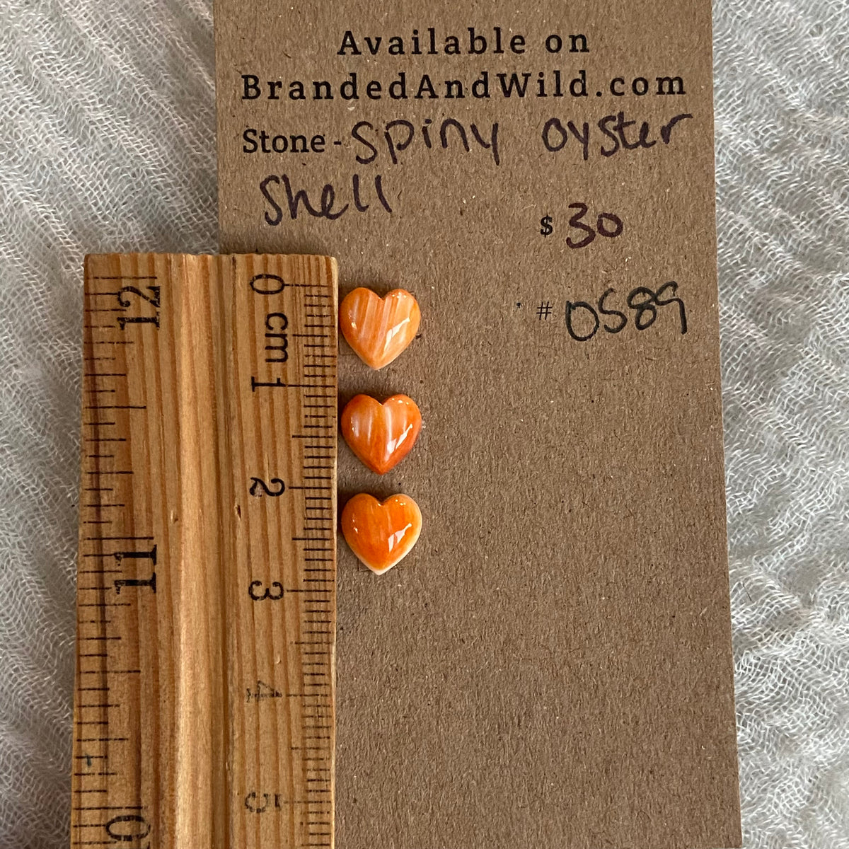 Oyster Shell Cabochon - OS89