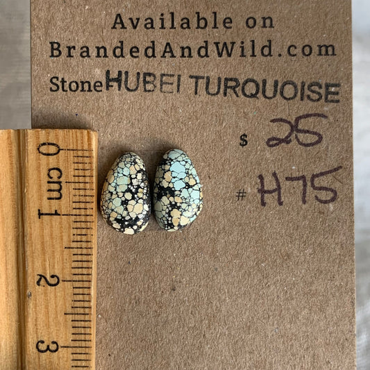 Hubei Turquoise Cabochon - H75