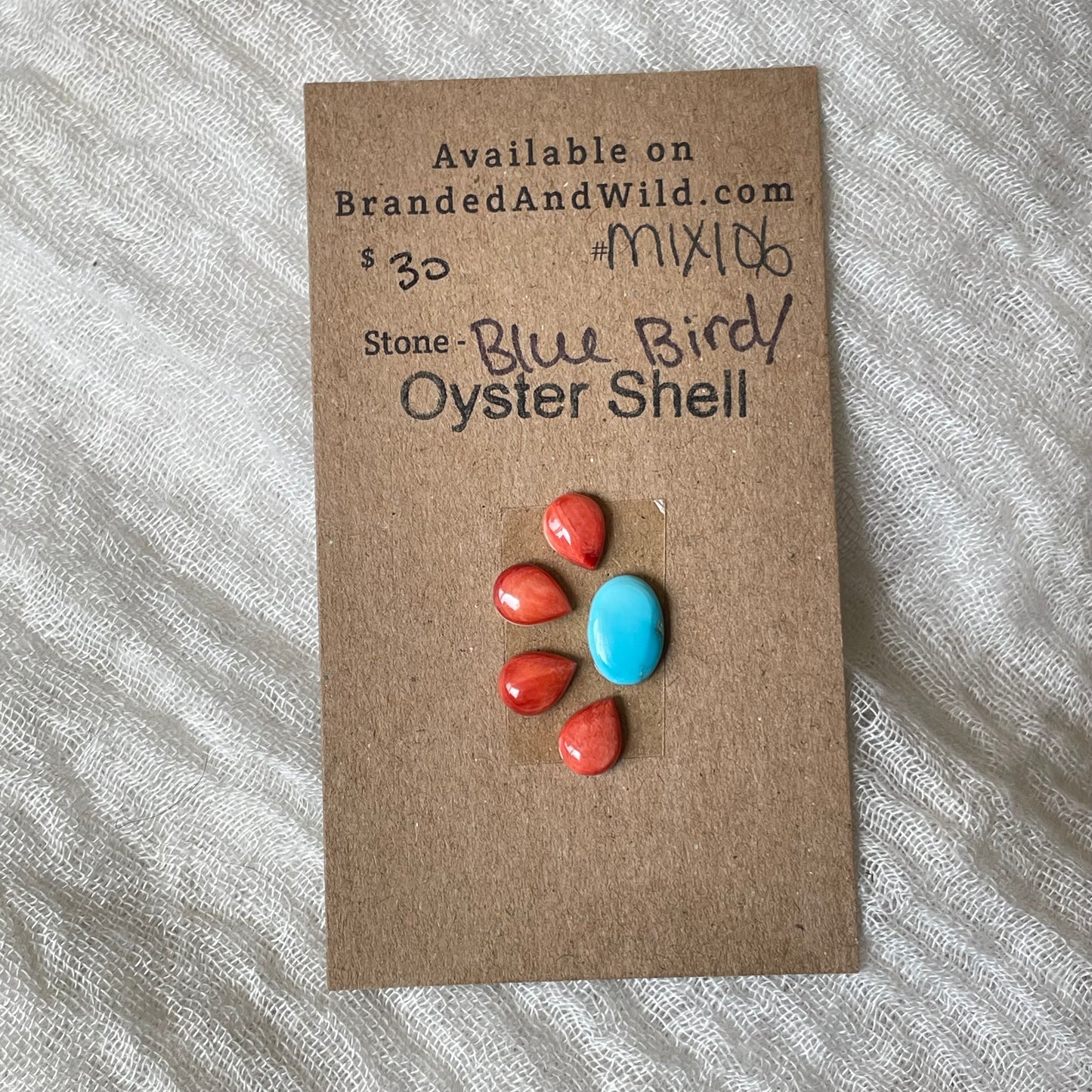 Oyster Shell / Blue Bird Cabochon - Mix106 182BB33E-F041-49CD-B38C-90F2039CFEF1 Brandedandwild.com