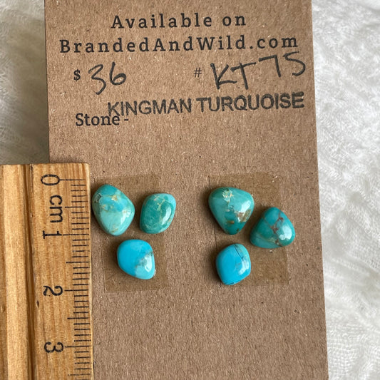 Kingman Turquoise Cabochon - KT75 184BDFC9-96FE-44BE-8A44-2AE07F0979D6 Brandedandwild.com