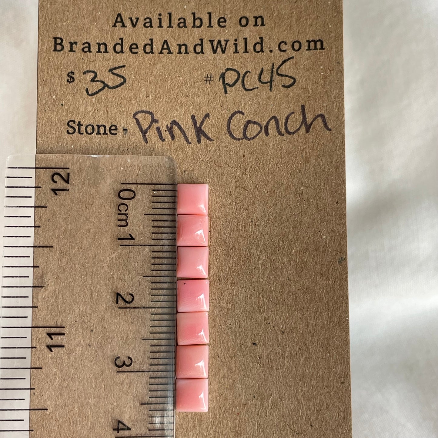 Pink Conch Cabochon - PC45