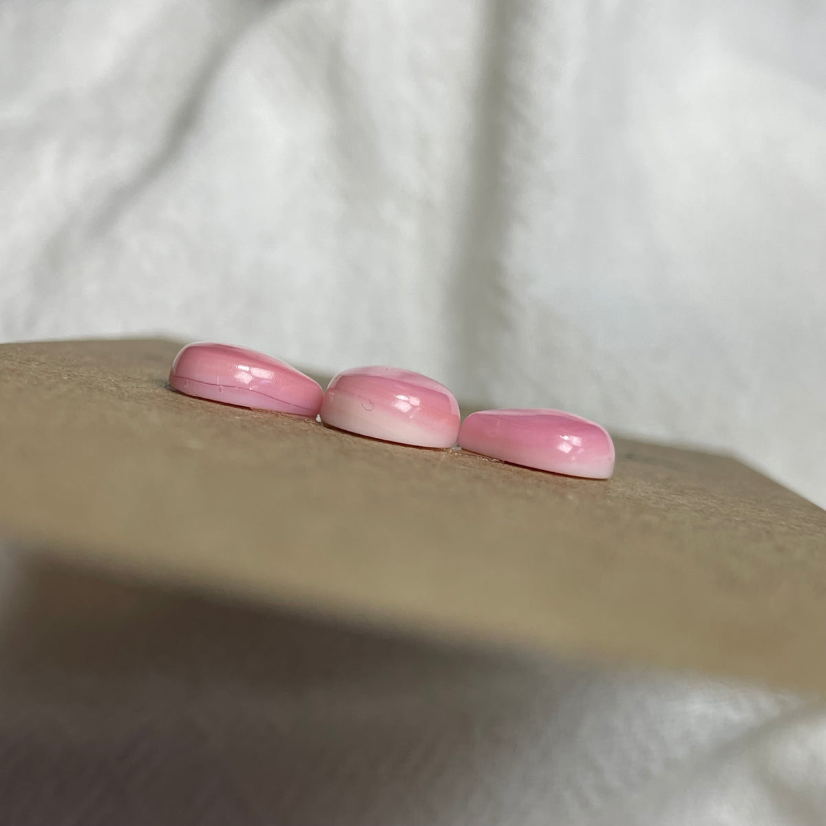 Pink Conch Cabochon - PC22 186AEB85-F9AA-4B43-817F-E9A5C1027F4D Brandedandwild.com