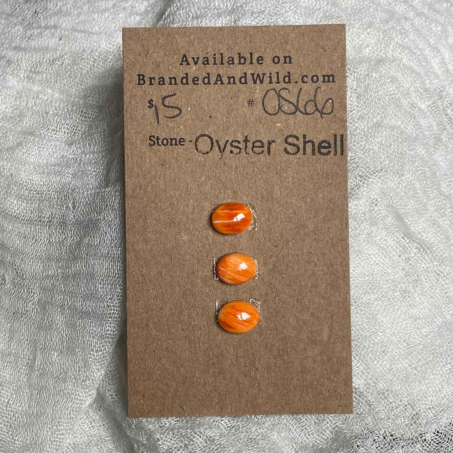 Oyster Shell Cabochon - OS66