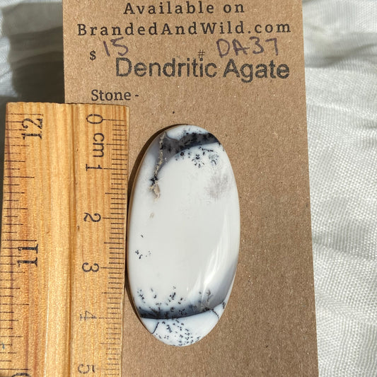 Dendritic Agate Cabochon - DA37 18B810AD-4808-4E81-B22E-6B7E16D90488 Brandedandwild.com