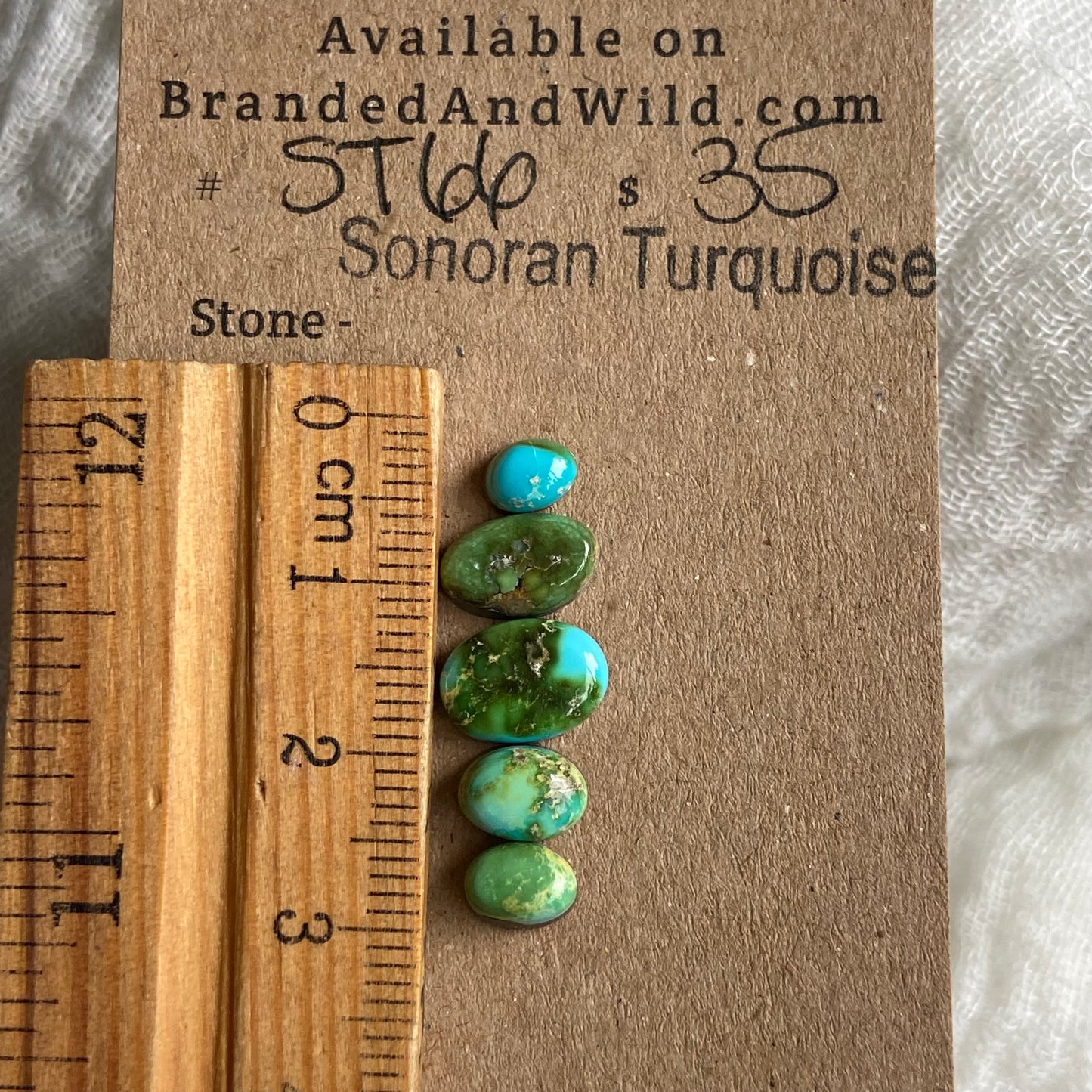 Sonoran Turquoise Cabochon - ST66