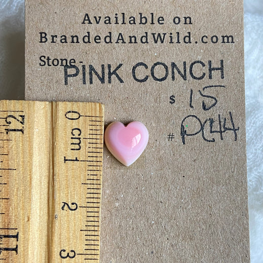 Pink Conch Cabochon - PC44