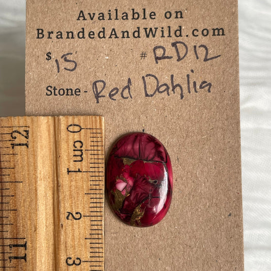 Red Dahlia Cabochon - RD12 1901D99A-07E6-47F4-AE8D-EE7177596506 Brandedandwild.com