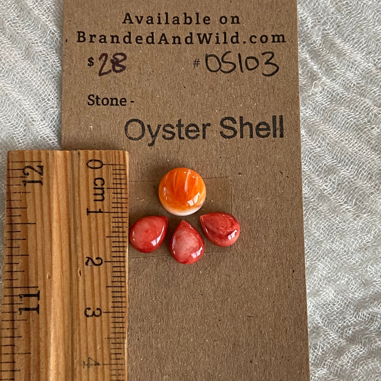 Oyster Shell Cabochon - OS103