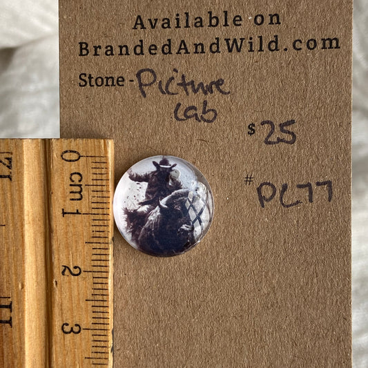 Picture Cabochon - Cabochon - PC77 1906ADB7-0407-499E-80DA-4A998D962D3D Brandedandwild.com