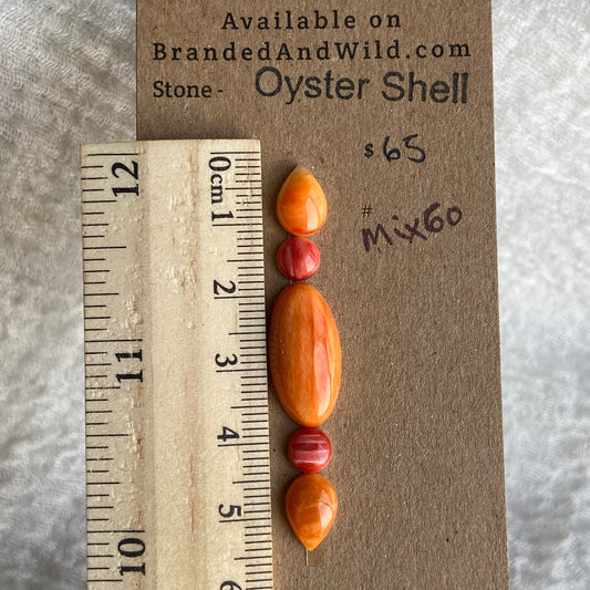Oystershell Cabochon - MIX60