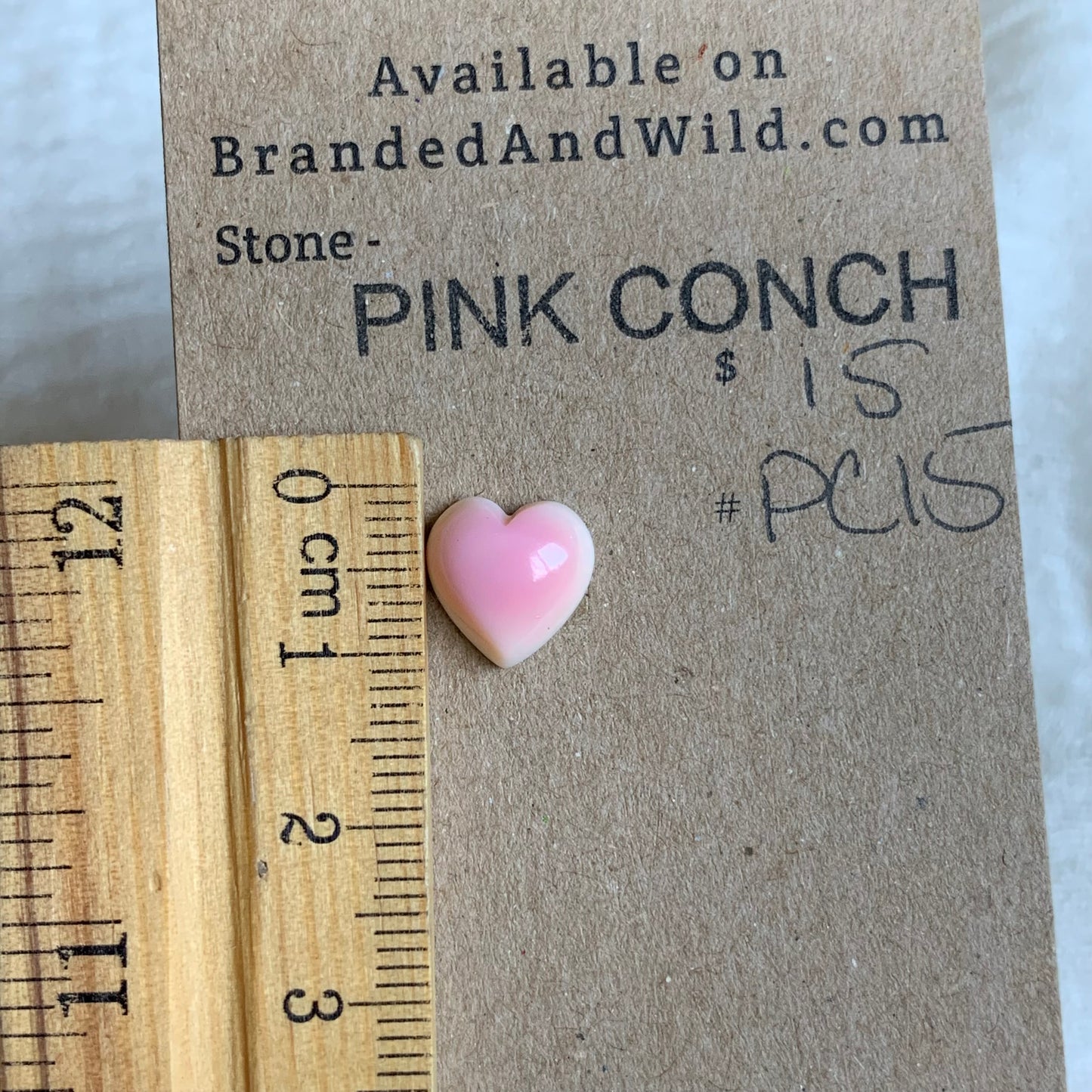 Pink Conch Cabochon - PC15