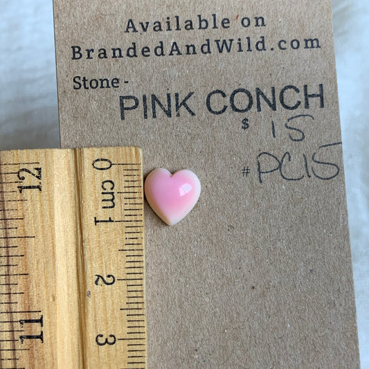 Pink Conch Cabochon - PC15