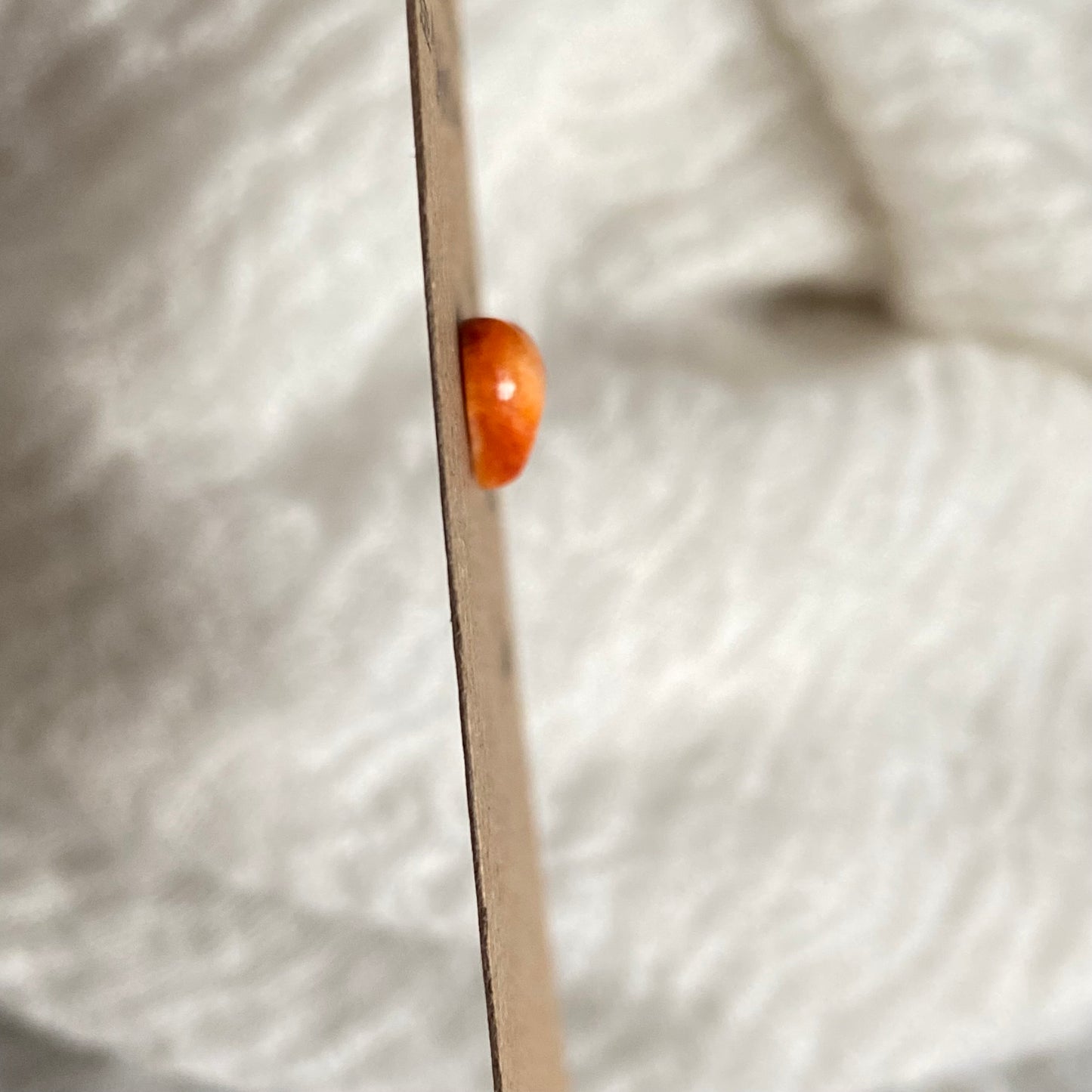 Oystershell Cabochon - OS01