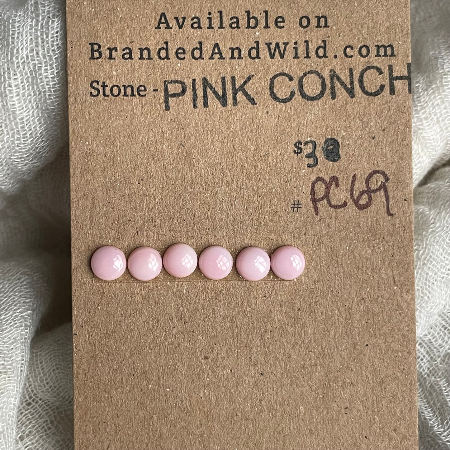 Pink Conch Cabochon - PC69 19584B93-2207-4440-9485-12E0B7090A72 Brandedandwild.com