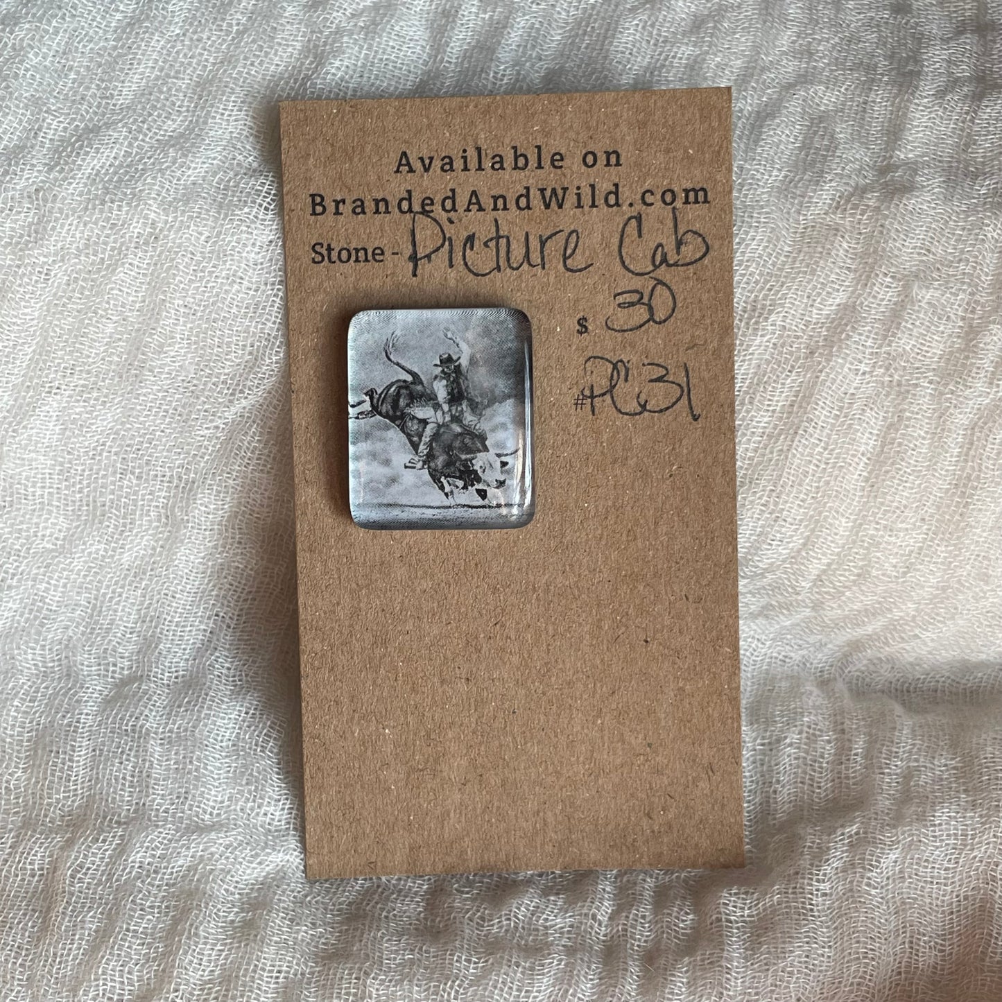 Picture Cabochon - Cabochon - PC31 19735428-0CC9-49BE-8E22-4F0694992DD0 Brandedandwild.com