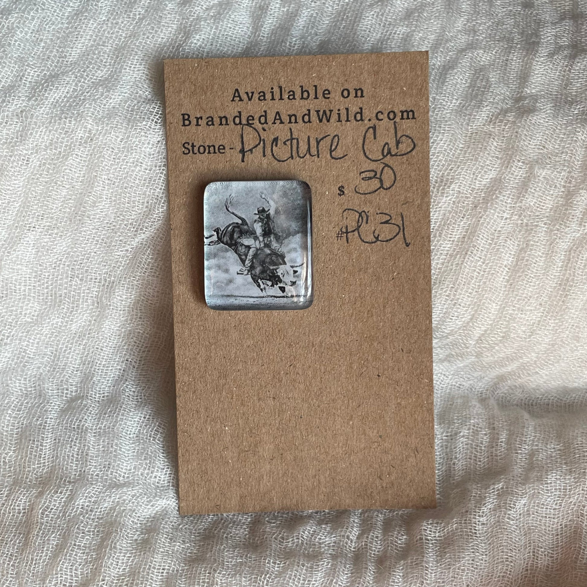 Picture Cabochon - Cabochon - PC31 19735428-0CC9-49BE-8E22-4F0694992DD0 Brandedandwild.com