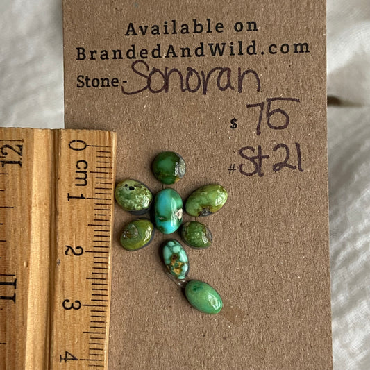 Sonoran Turquoise Cabochon - ST21