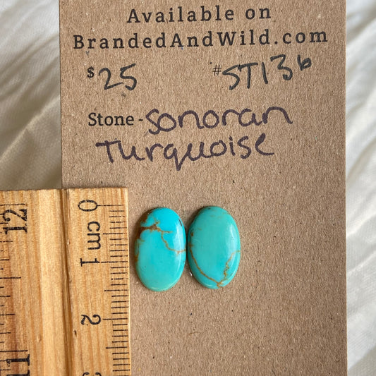 Sonoran Turquoise Cabochon - ST136 19956D62-1185-4B24-9F9E-39D6FD0352A3 Brandedandwild.com