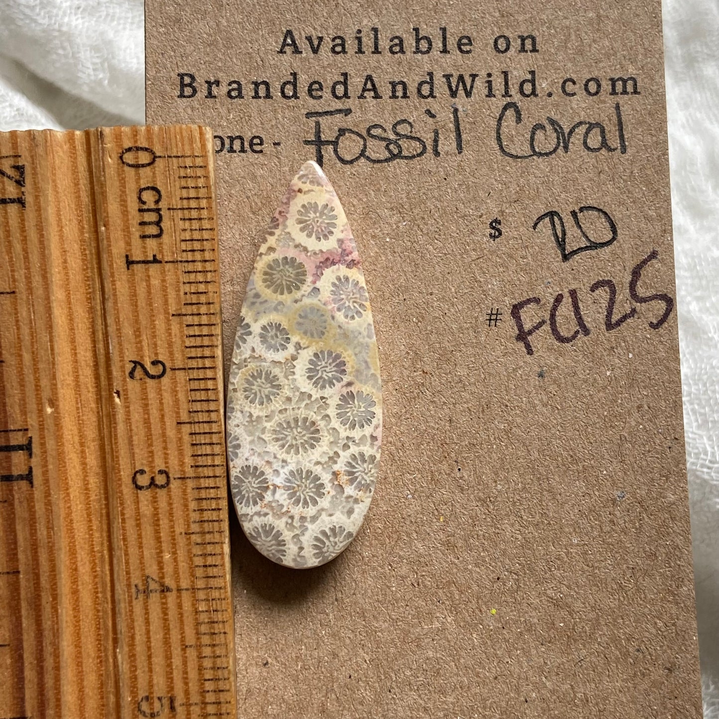Fossil Coral Cabochon - FC125
