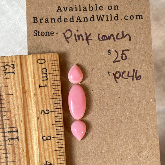 Pink Conch Cabochon - PC46