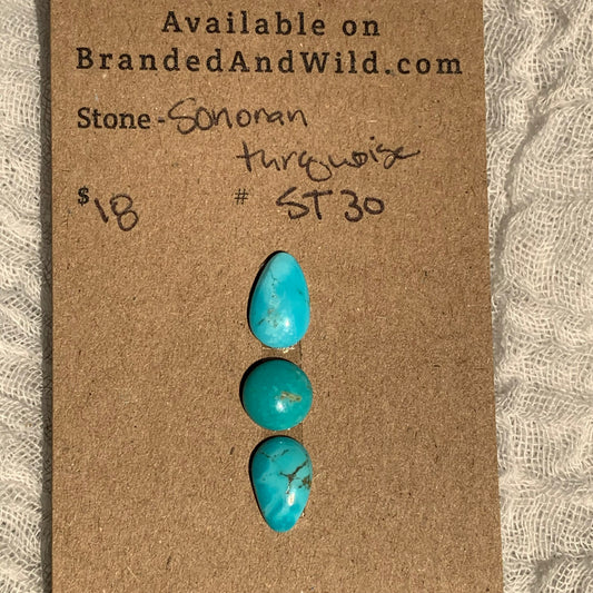 Sonoran Turquoise Cabochon - ST30