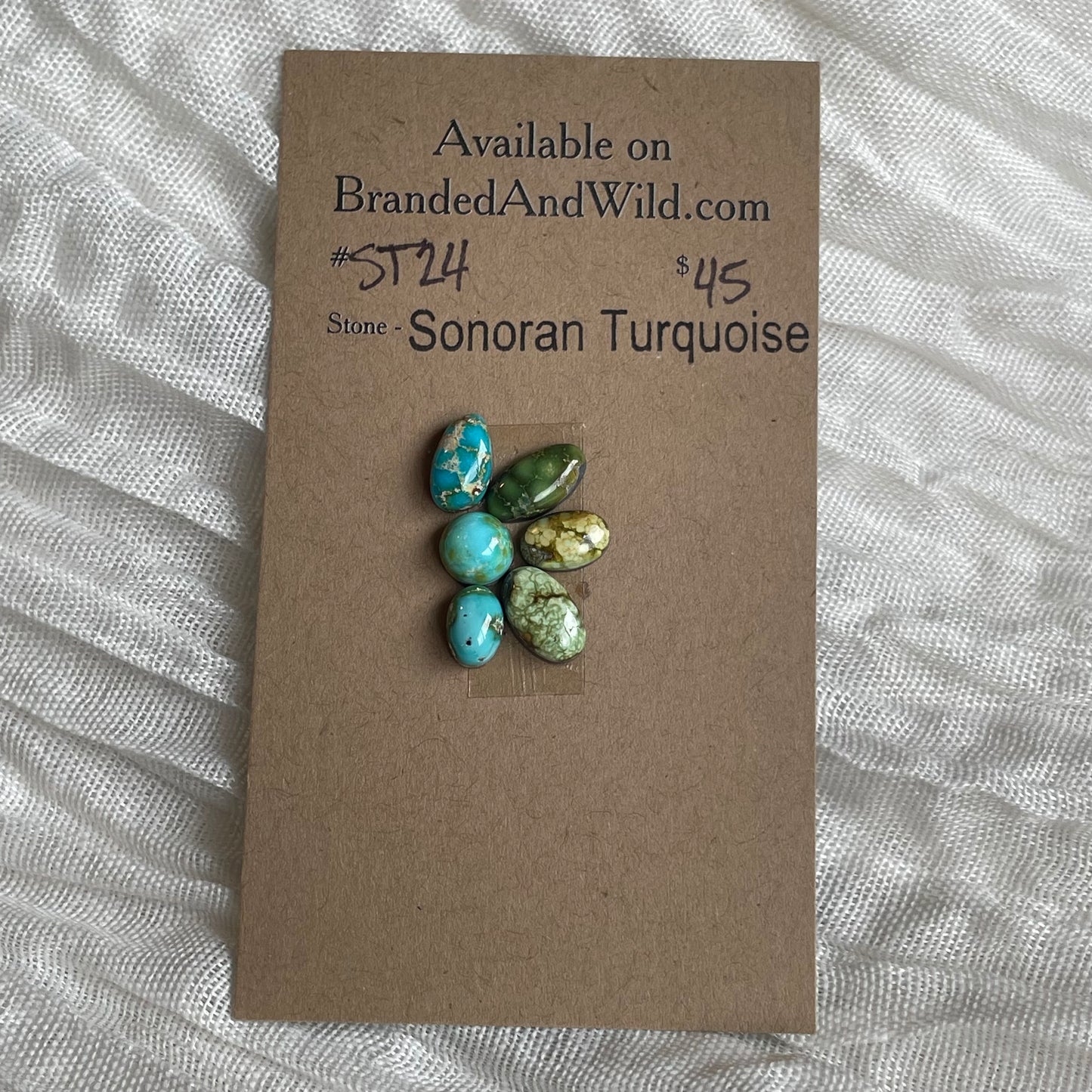 Sonoran Turquoise Cabochon - ST24 19D75323-50B3-47ED-AADC-B6BAD9F40DDC Brandedandwild.com
