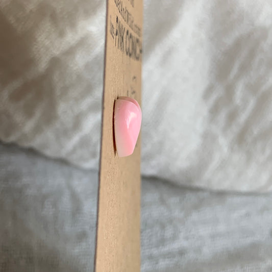 Pink Conch Cabochon - PC75