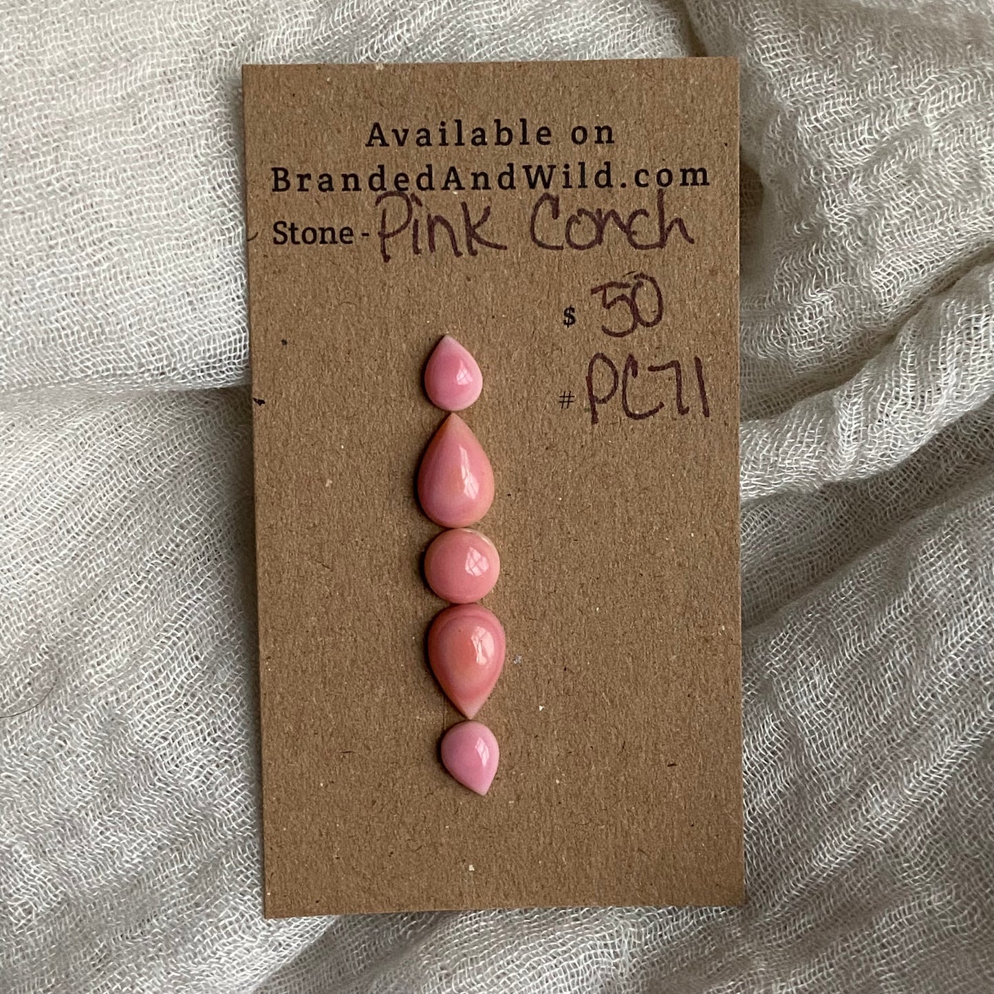 Pink Conch Cabochon - PC71