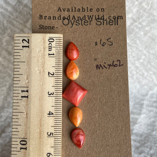 Oystershell Cabochon - MIX62