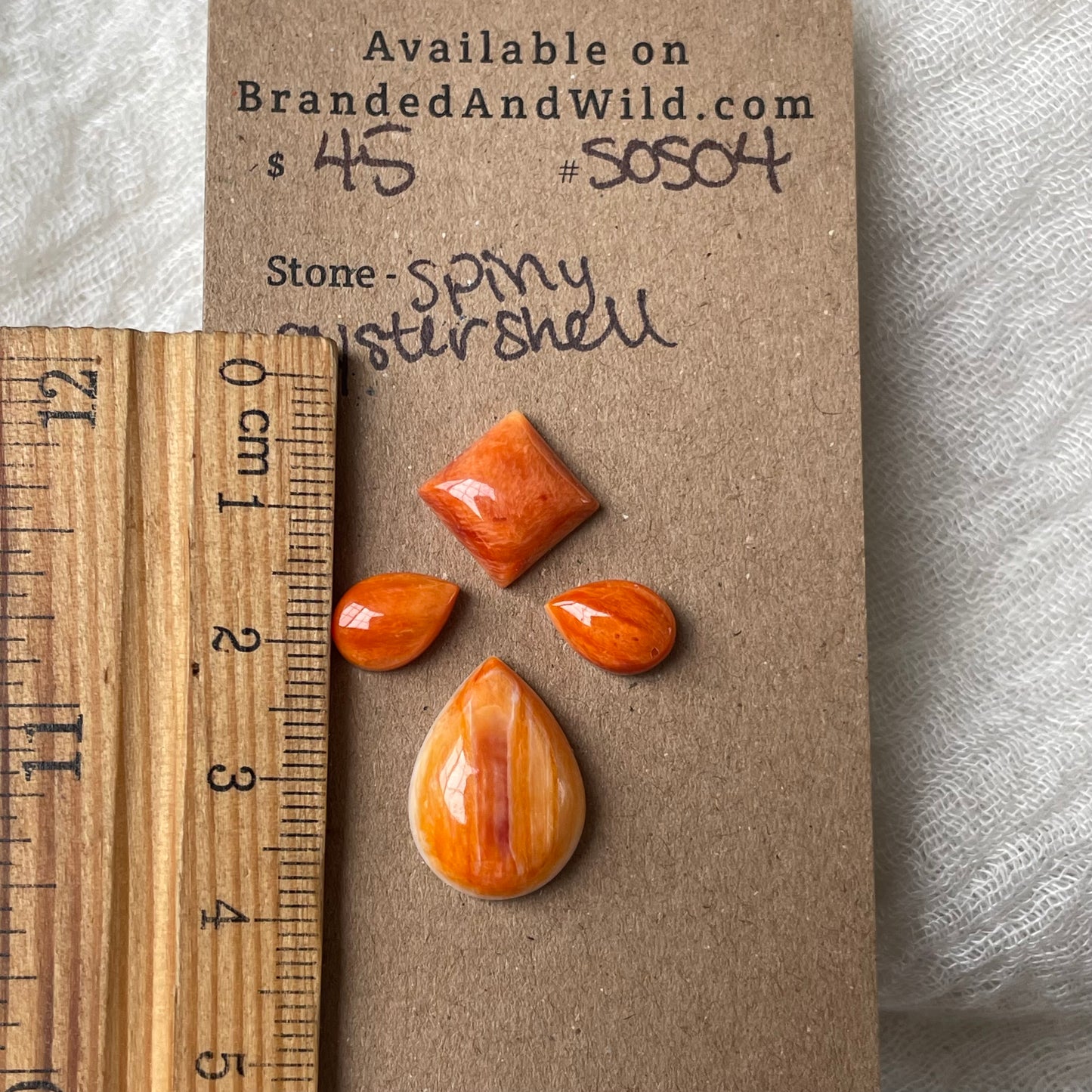 Spiny Oyster Shell Cabochon - SOS04 1A1B821D-3153-4D89-80B8-397647E18F07 Brandedandwild.com