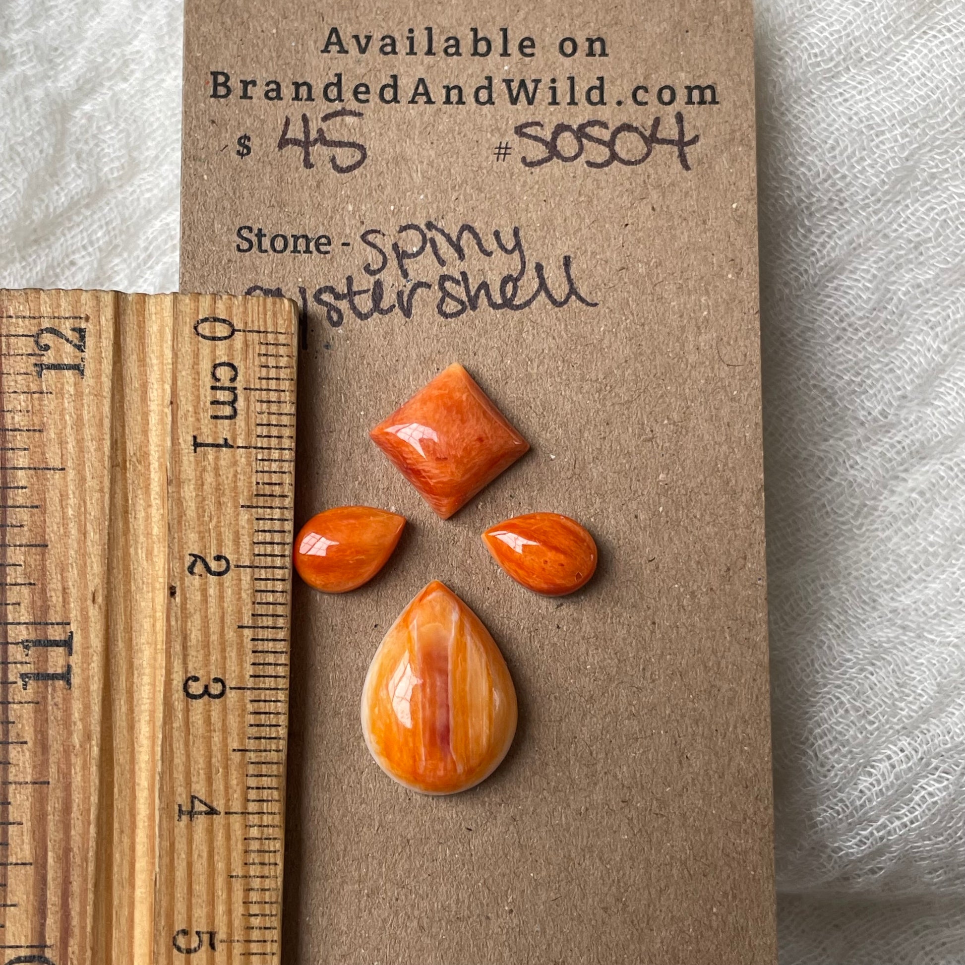 Spiny Oyster Shell Cabochon - SOS04 1A1B821D-3153-4D89-80B8-397647E18F07 Brandedandwild.com