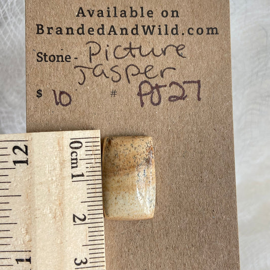 Picture Jasper Cabochon - PJ27