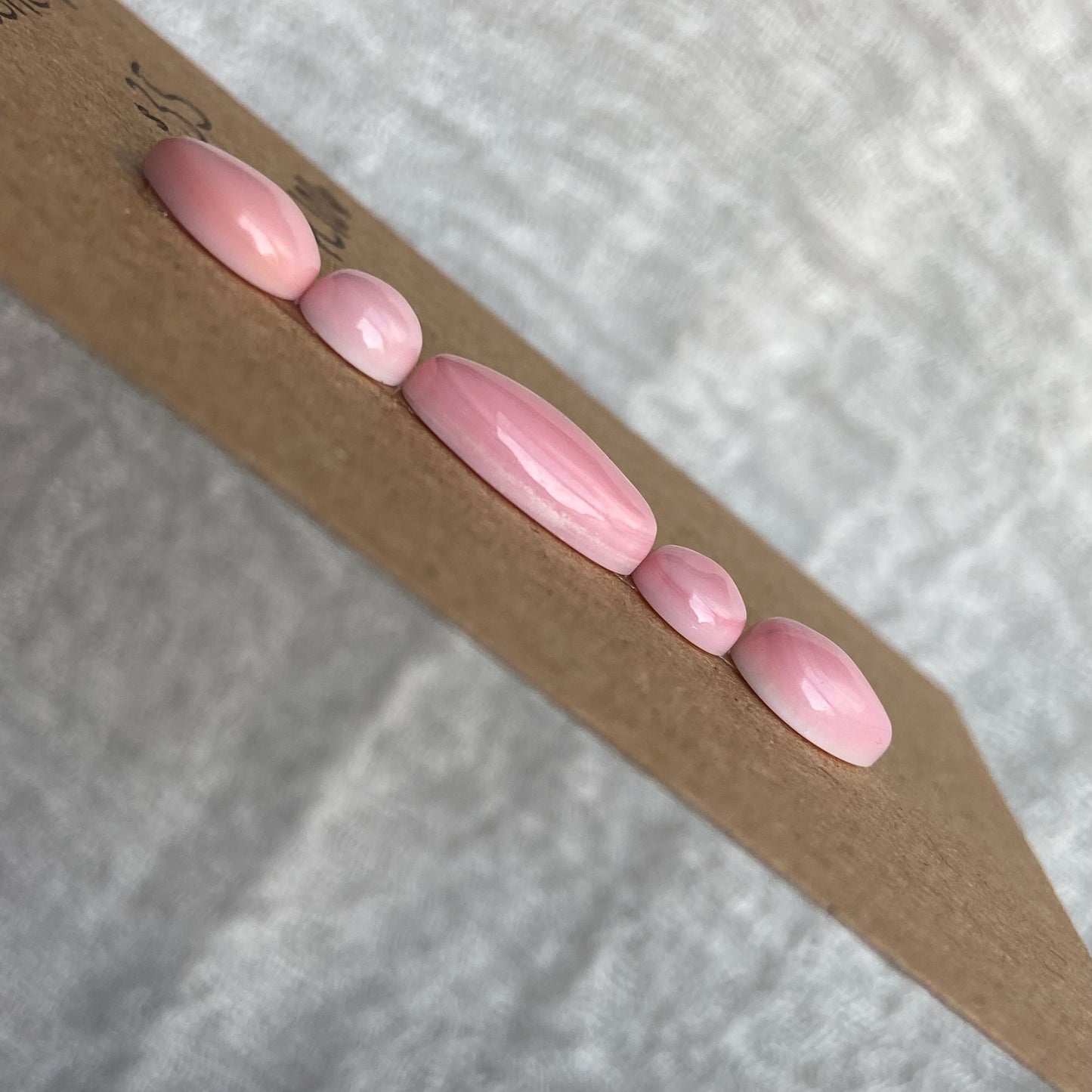 Pink Conch Cabochon - PC106