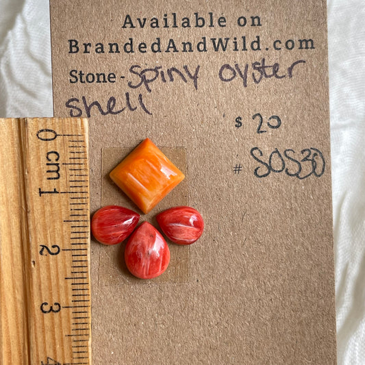 Spiny Oyster Shell Cabochon - SOS30 1A25A252-D245-4E12-93A5-8B50418FE797 Brandedandwild.com