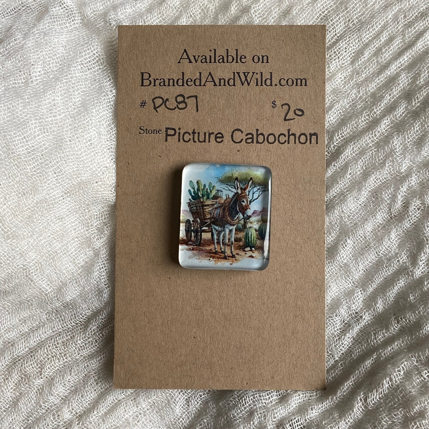 Picture Cabochon - Cabochon - PC87 1A34AF5C-59CB-4CE6-A895-B9469C3E9078 Brandedandwild.com